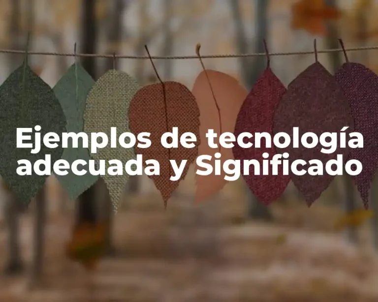 Ejemplos de tecnología adecuada y Significado