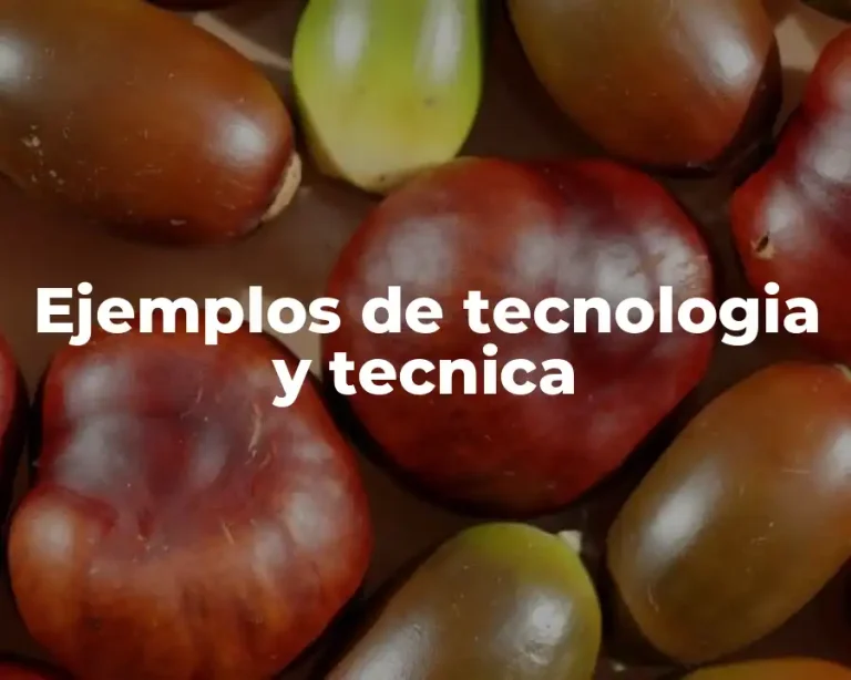 Ejemplos de tecnologia y tecnica