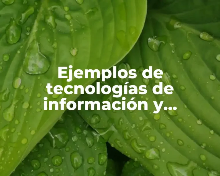 Ejemplos de tecnologías de información y comunicación (TIC) que utilizan