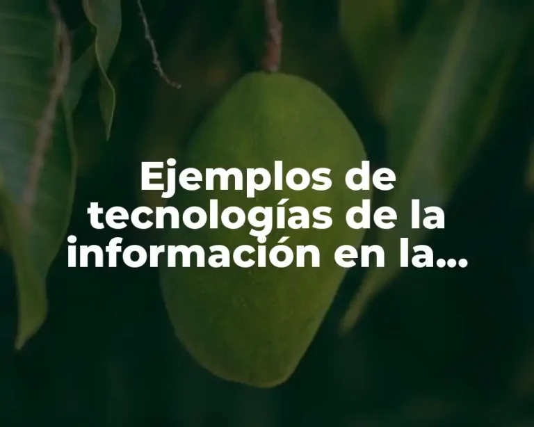 Ejemplos de tecnologías de la información en la industria química