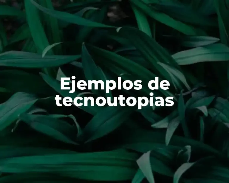 Ejemplos de tecnoutopias