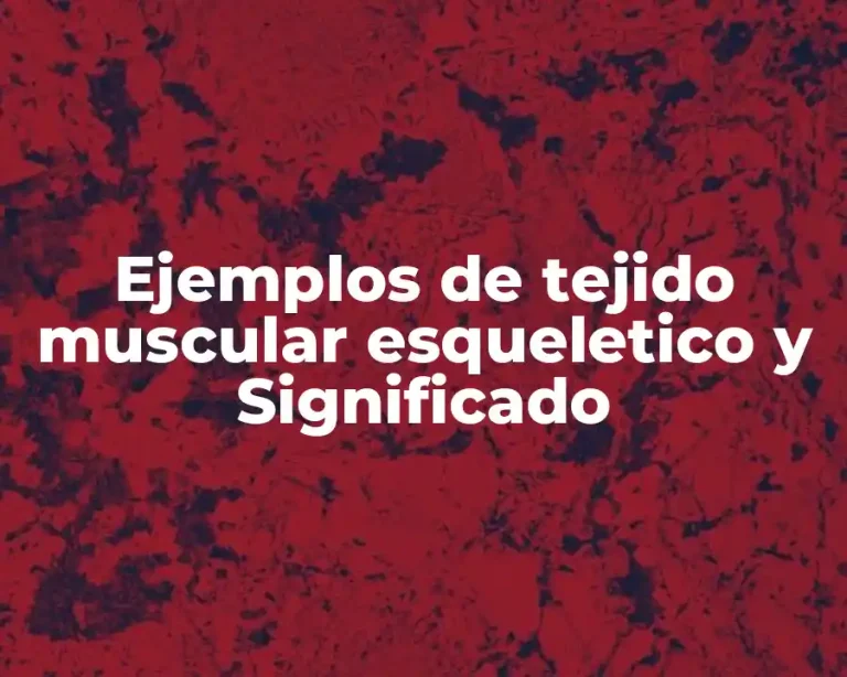 Ejemplos de tejido muscular esqueletico y Significado