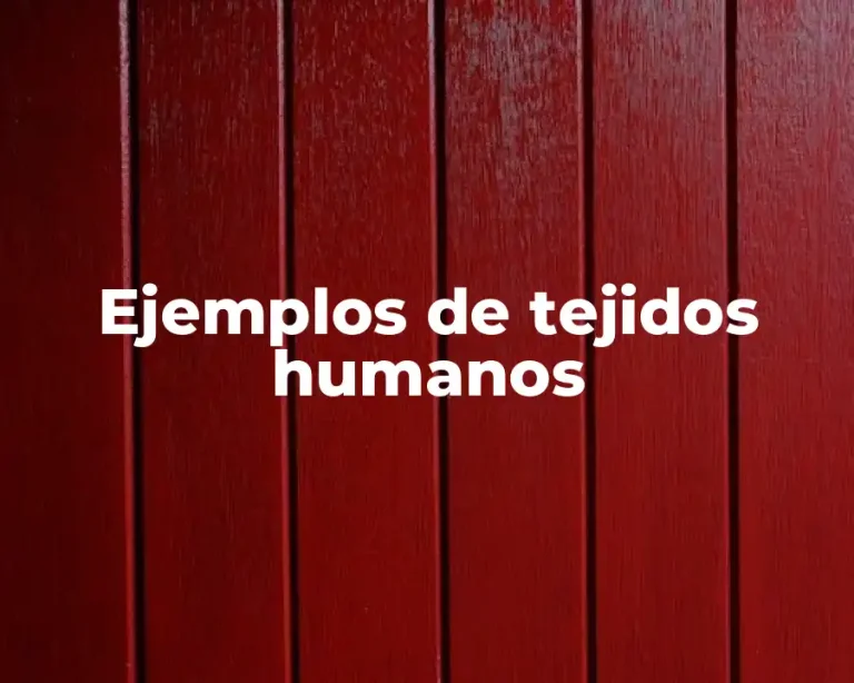 Ejemplos de tejidos humanos