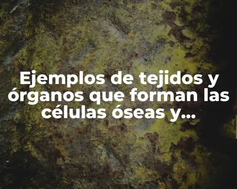 Ejemplos de tejidos y órganos que forman las células óseas y Significado