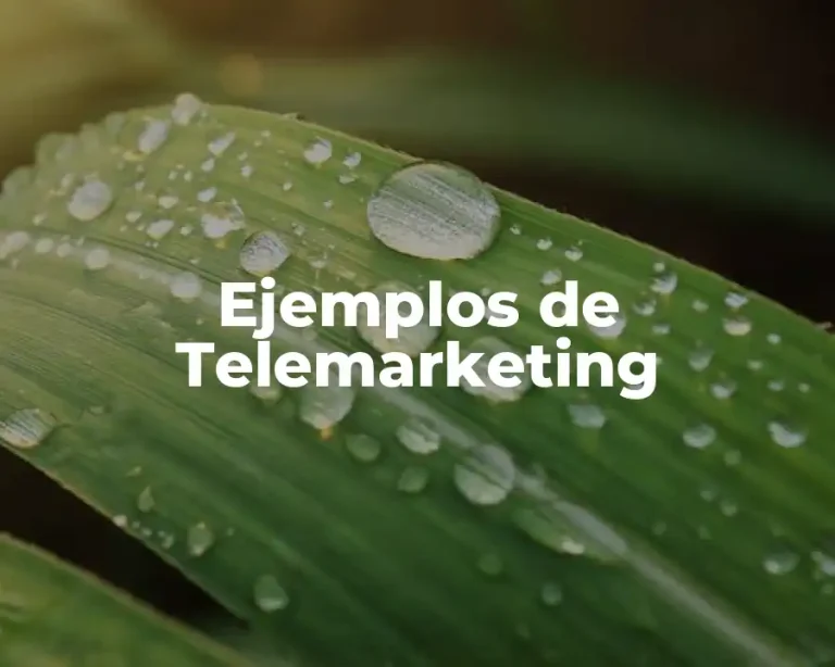 Ejemplos de Telemarketing
