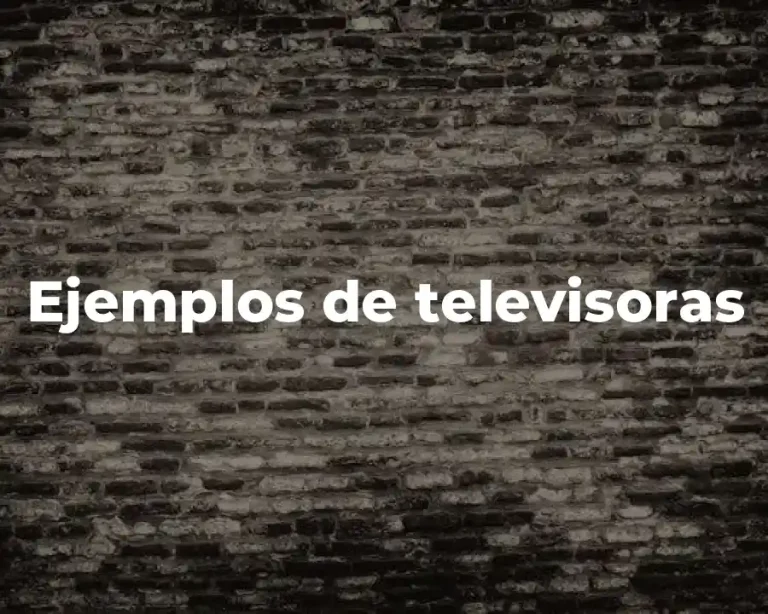 Ejemplos de televisoras