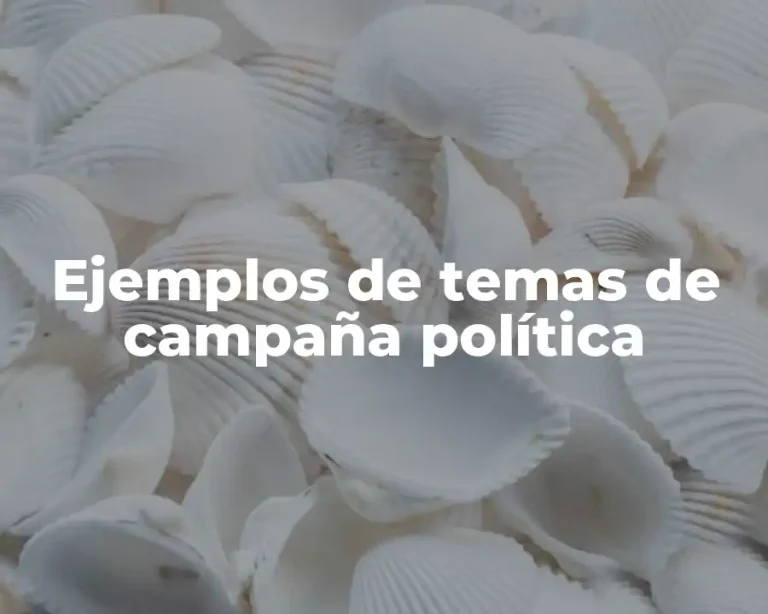 Ejemplos de temas de campaña política