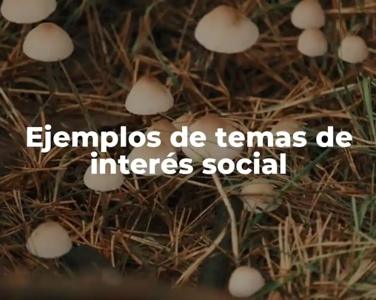 Ejemplos de temas de interés social