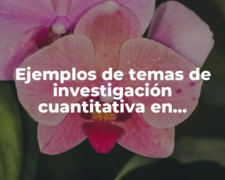 Ejemplos de temas de investigación cuantitativa en psicología