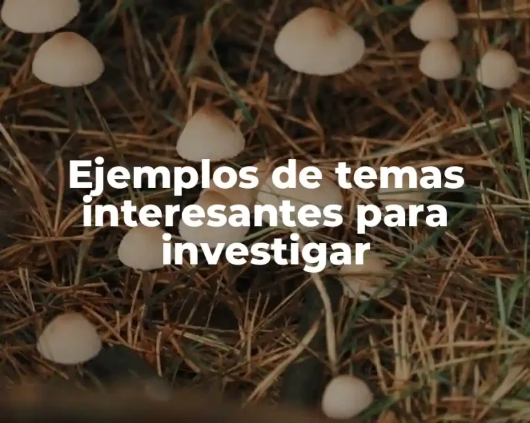 Ejemplos de temas interesantes para investigar
