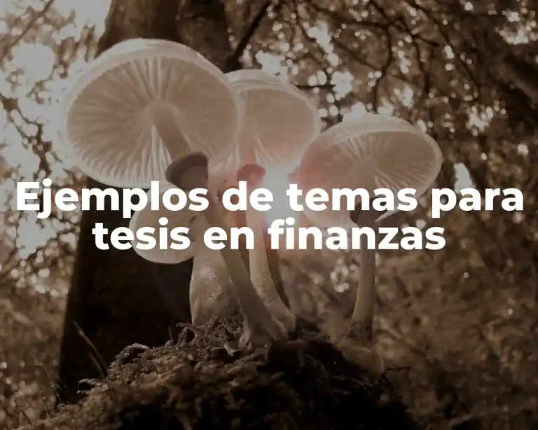 Ejemplos de temas para tesis en finanzas