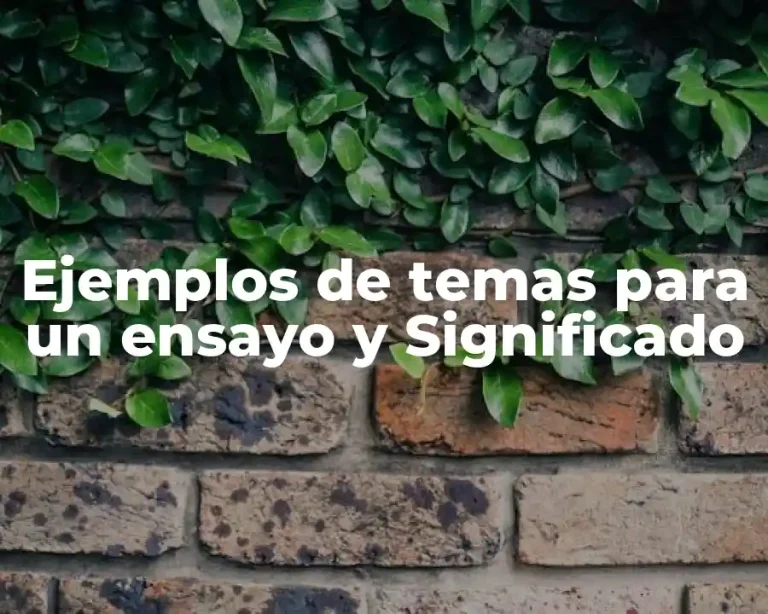 Ejemplos de temas para un ensayo y Significado