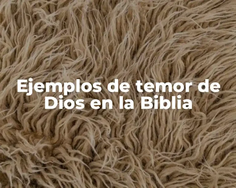 Ejemplos de temor de Dios en la Biblia