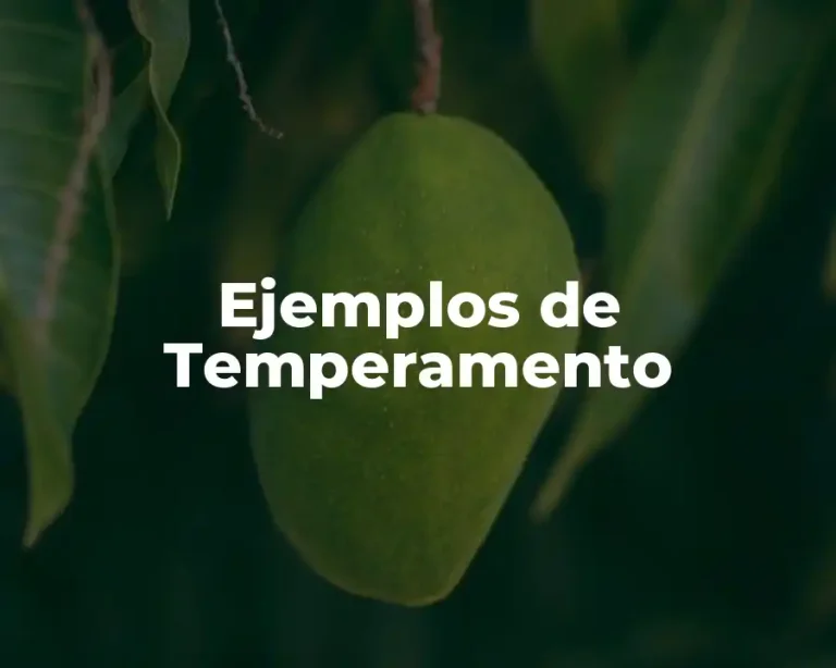 Ejemplos de Temperamento