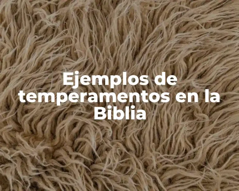 Ejemplos de temperamentos en la Biblia