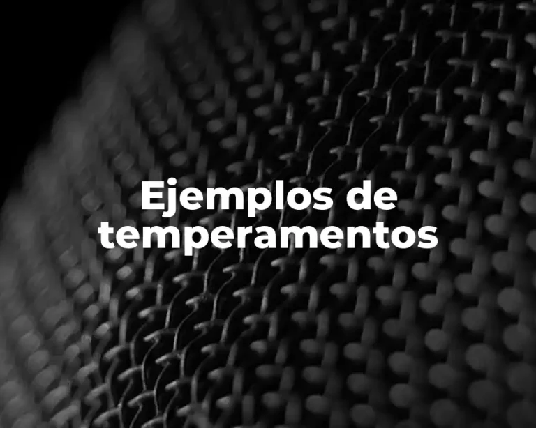 Ejemplos de temperamentos