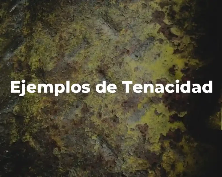Ejemplos de Tenacidad