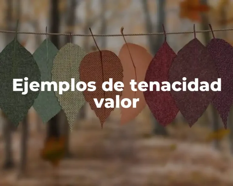 Ejemplos de tenacidad valor