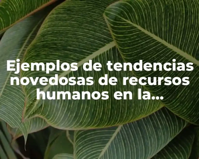 Ejemplos de tendencias novedosas de recursos humanos en la capacitación