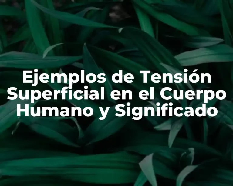 Ejemplos de Tensión Superficial en el Cuerpo Humano y Significado