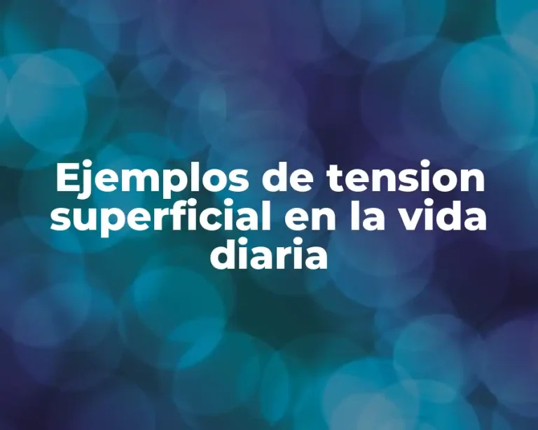 Ejemplos de tension superficial en la vida diaria