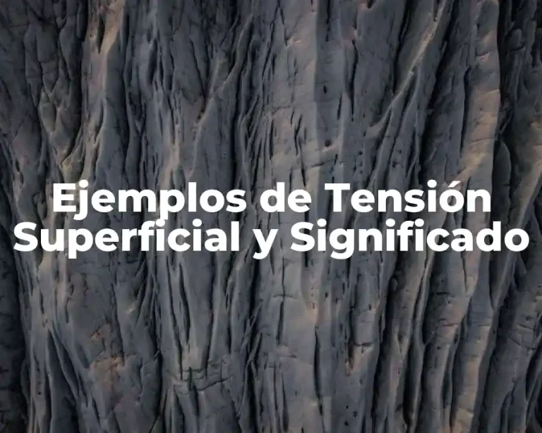 Ejemplos de Tensión Superficial y Significado