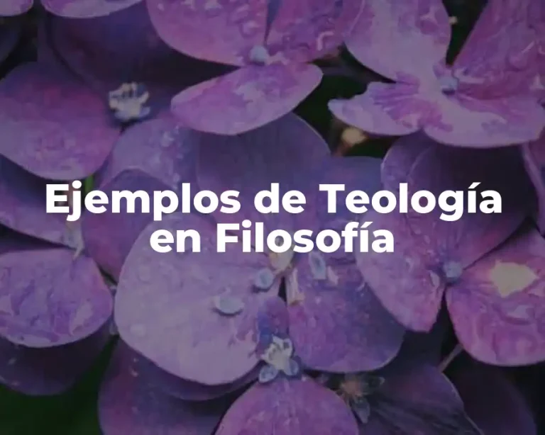 Ejemplos de Teología en Filosofía
