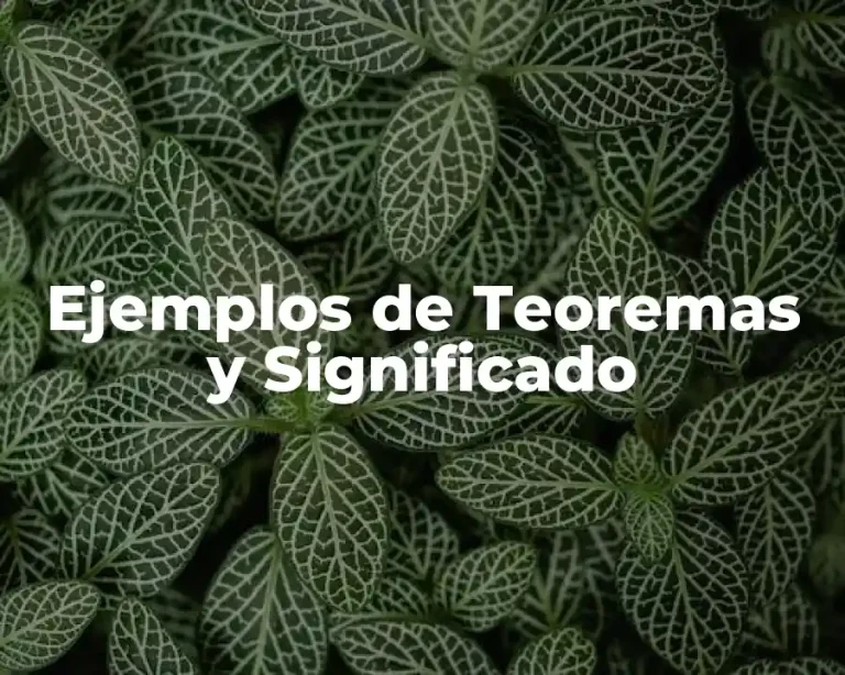 Ejemplos de Teoremas y Significado