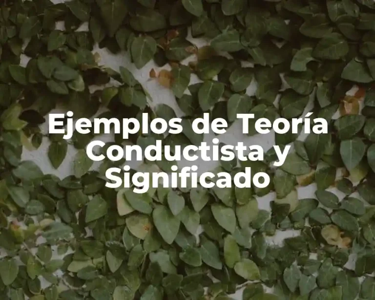 Ejemplos de Teoría Conductista y Significado