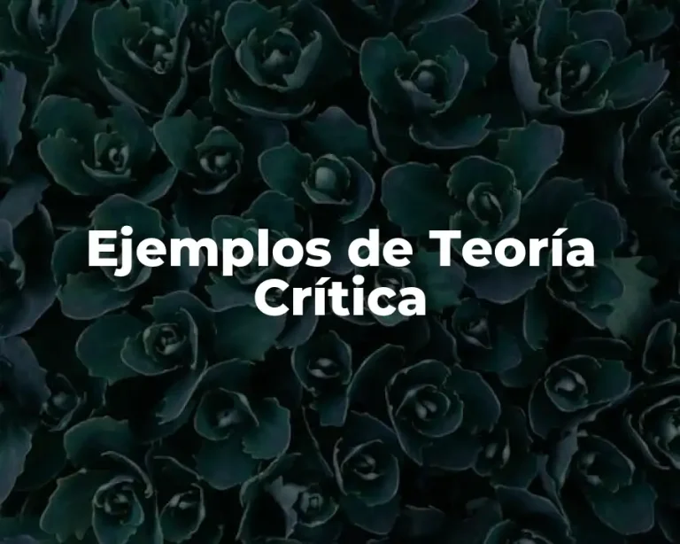Ejemplos de Teoría Crítica