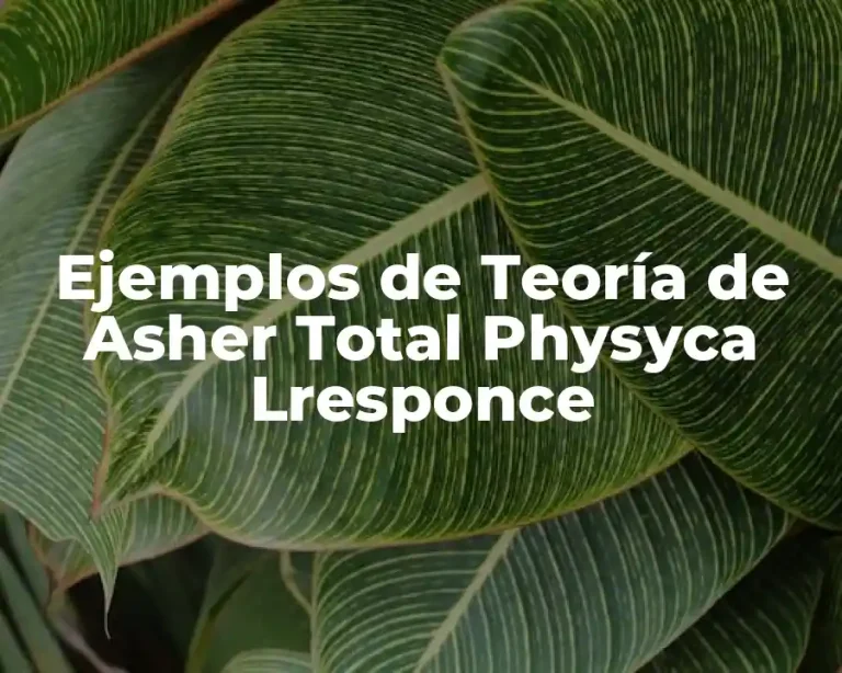 Ejemplos de Teoría de Asher Total Physyca Lresponce