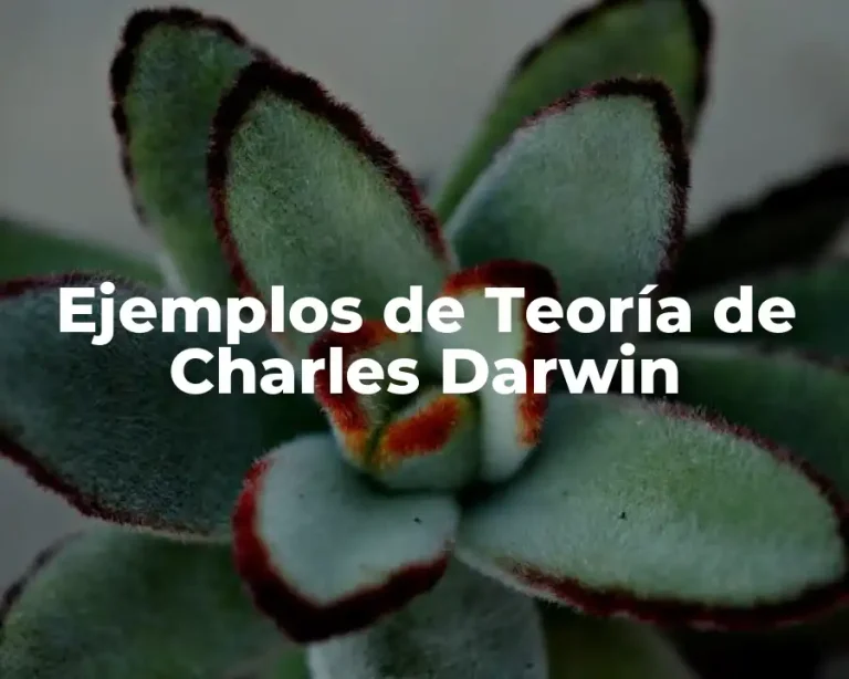 Ejemplos de Teoría de Charles Darwin