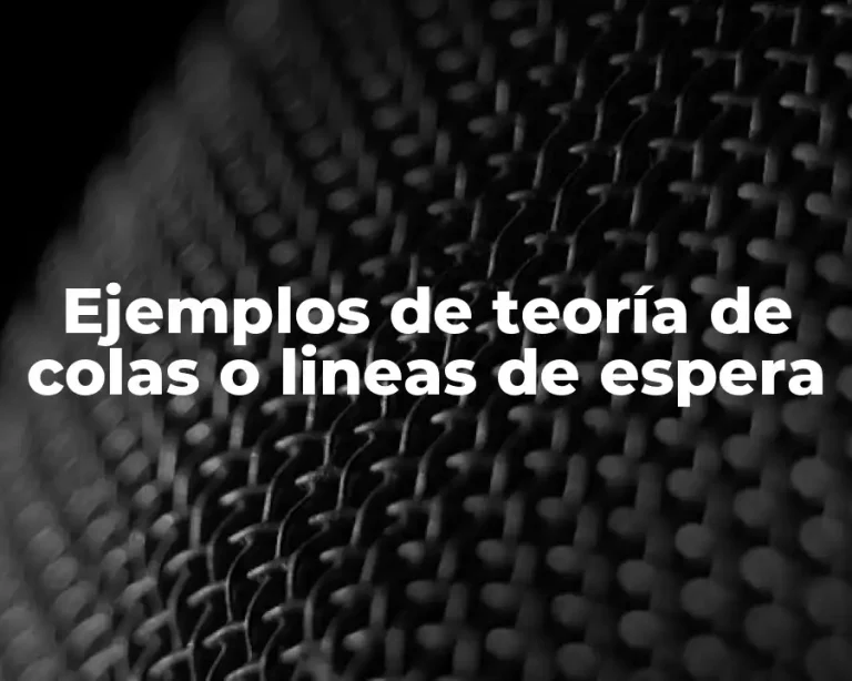 Ejemplos de teoría de colas o lineas de espera