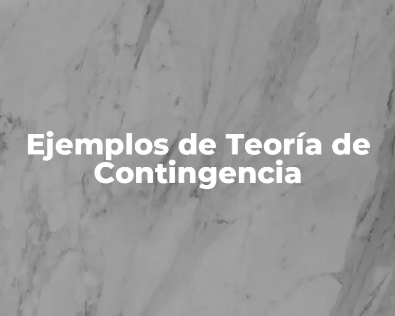 Ejemplos de Teoría de Contingencia