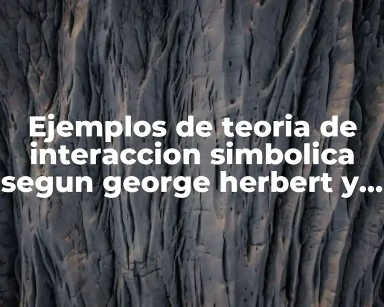 Ejemplos de teoria de interaccion simbolica segun george herbert y Significado