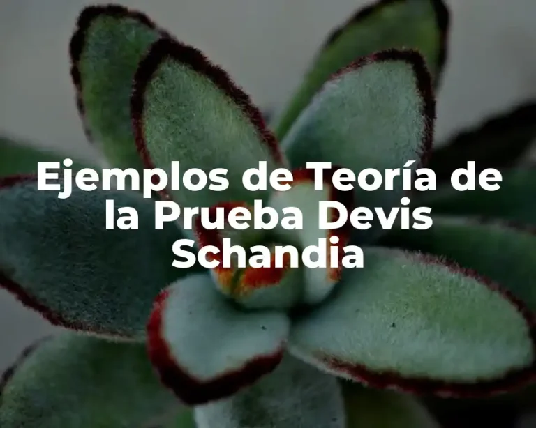 Ejemplos de Teoría de la Prueba Devis Schandia