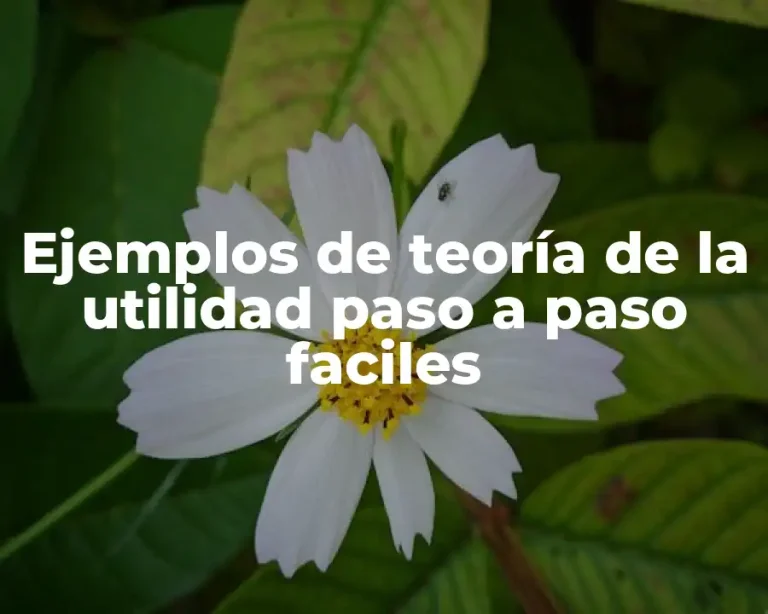 Ejemplos de teoría de la utilidad paso a paso faciles
