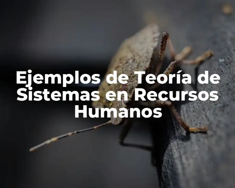 Ejemplos de Teoría de Sistemas en Recursos Humanos
