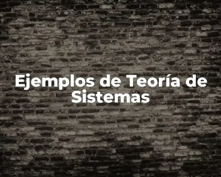 Ejemplos de Teoría de Sistemas