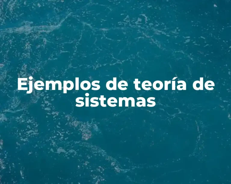 Ejemplos de teoría de sistemas