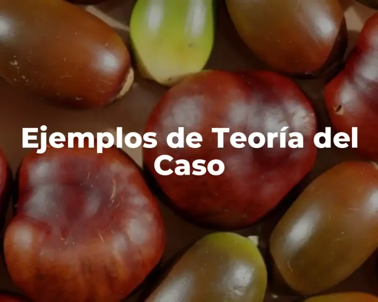 Ejemplos de Teoría del Caso