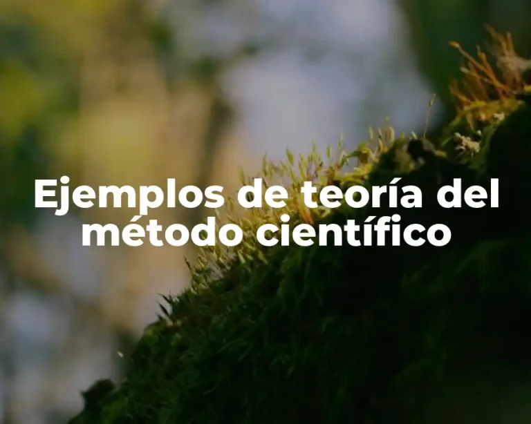 Ejemplos de teoría del método científico