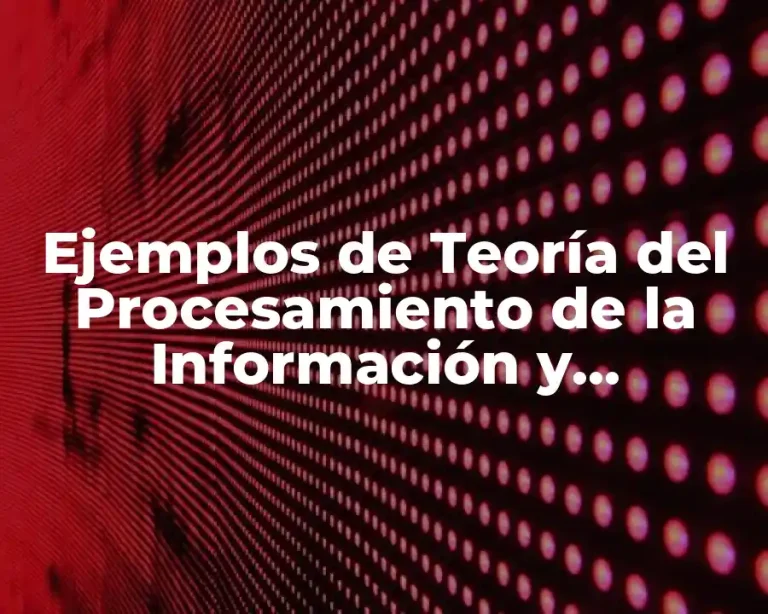 Ejemplos de Teoría del Procesamiento de la Información y Significado