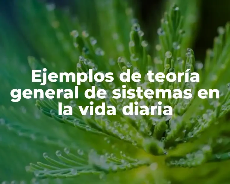 Ejemplos de teoría general de sistemas en la vida diaria