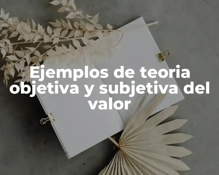 Ejemplos de teoria objetiva y subjetiva del valor