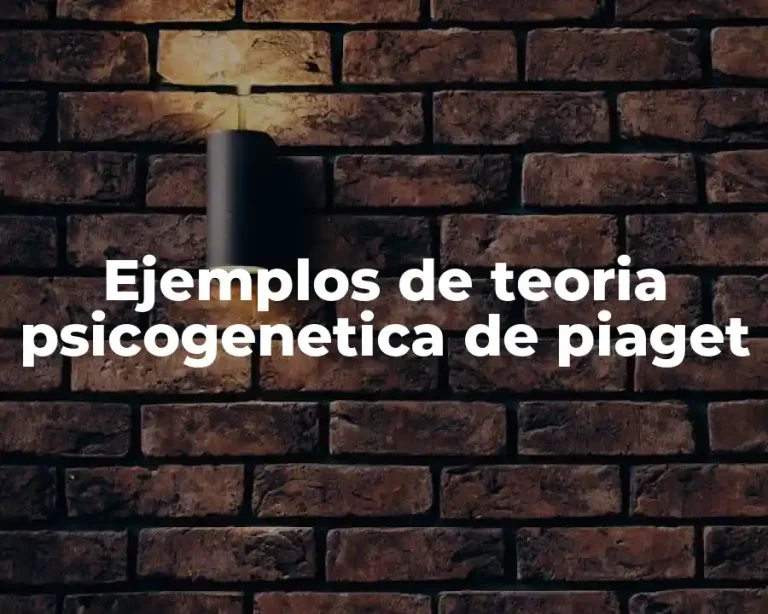 Ejemplos de teoria psicogenetica de piaget
