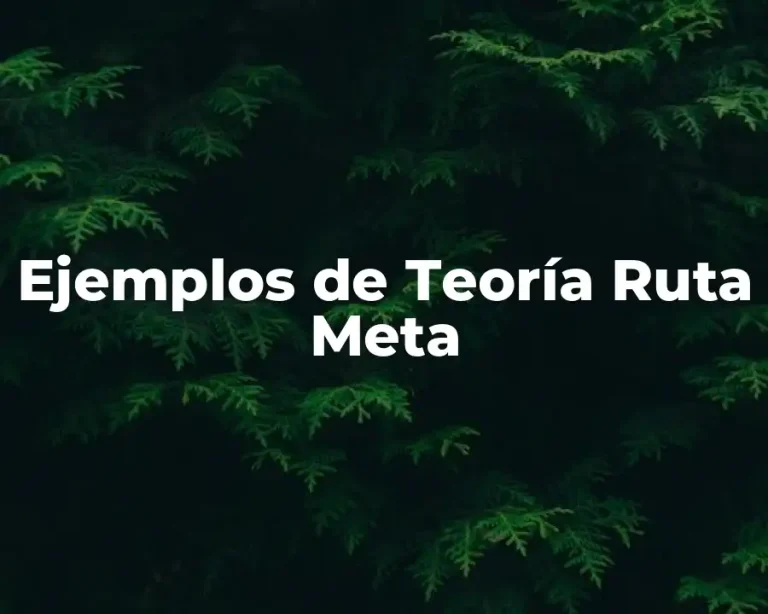 Ejemplos de Teoría Ruta Meta