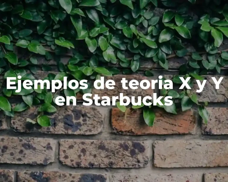 Ejemplos de teoria X y Y en Starbucks