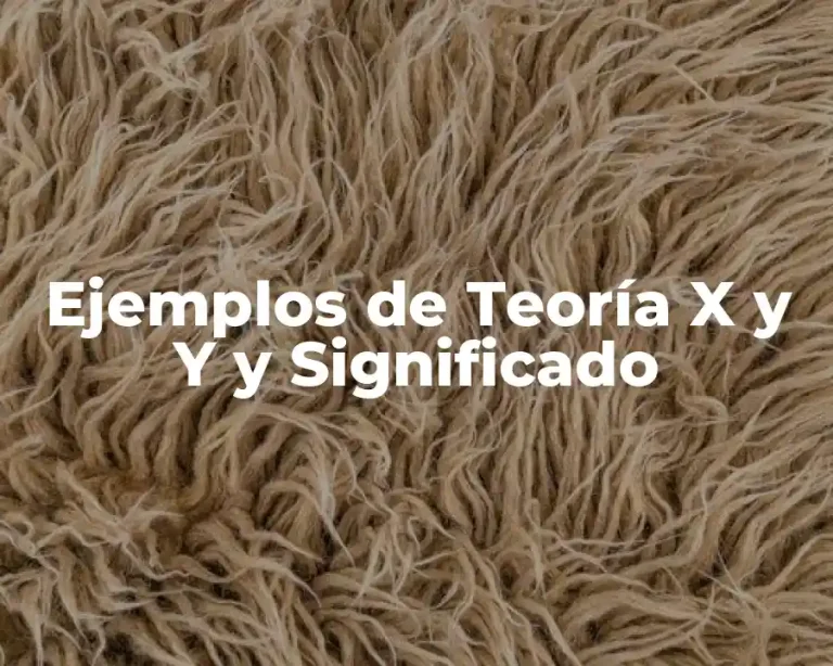 Ejemplos de Teoría X y Y y Significado