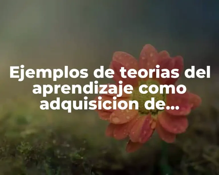 Ejemplos de teorias del aprendizaje como adquisicion de respuesta